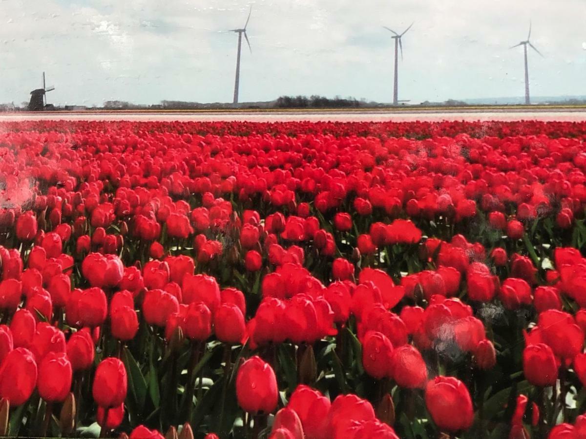 Vakantiehuis Aan Zee Sint Maartensvlotbrug Екстериор снимка
